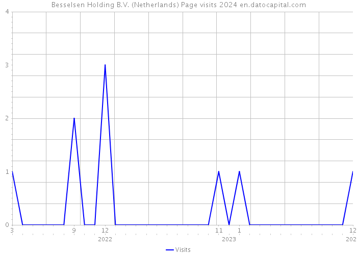 Besselsen Holding B.V. (Netherlands) Page visits 2024 