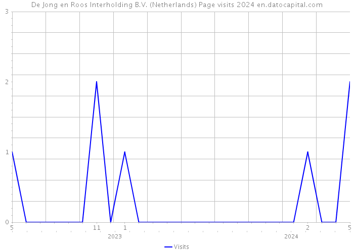 De Jong en Roos Interholding B.V. (Netherlands) Page visits 2024 