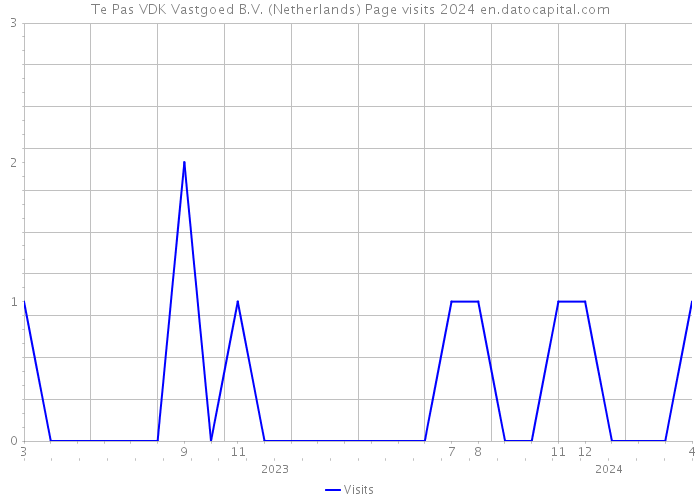 Te Pas VDK Vastgoed B.V. (Netherlands) Page visits 2024 
