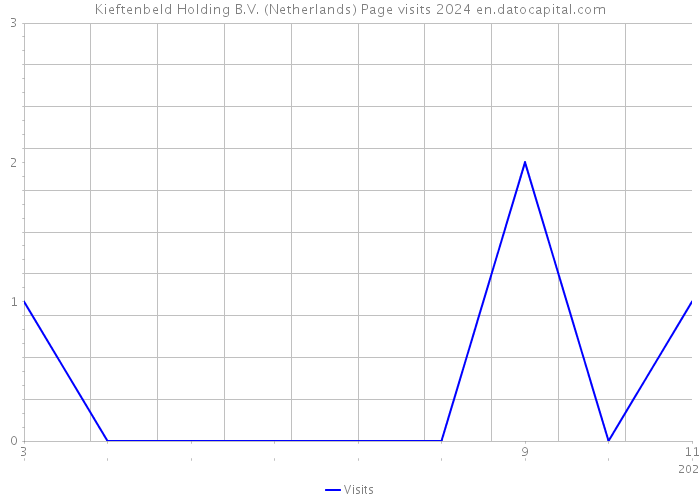 Kieftenbeld Holding B.V. (Netherlands) Page visits 2024 
