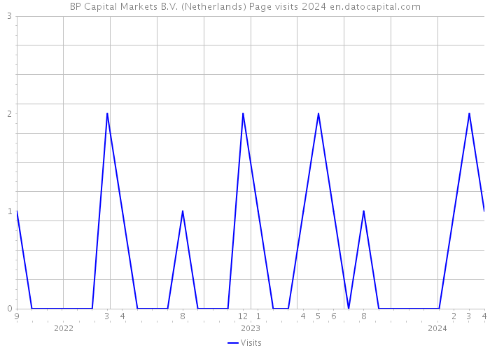 BP Capital Markets B.V. (Netherlands) Page visits 2024 