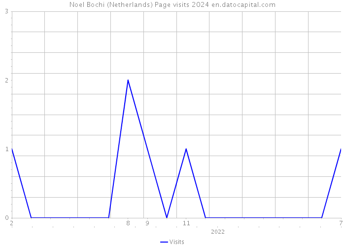 Noel Bochi (Netherlands) Page visits 2024 