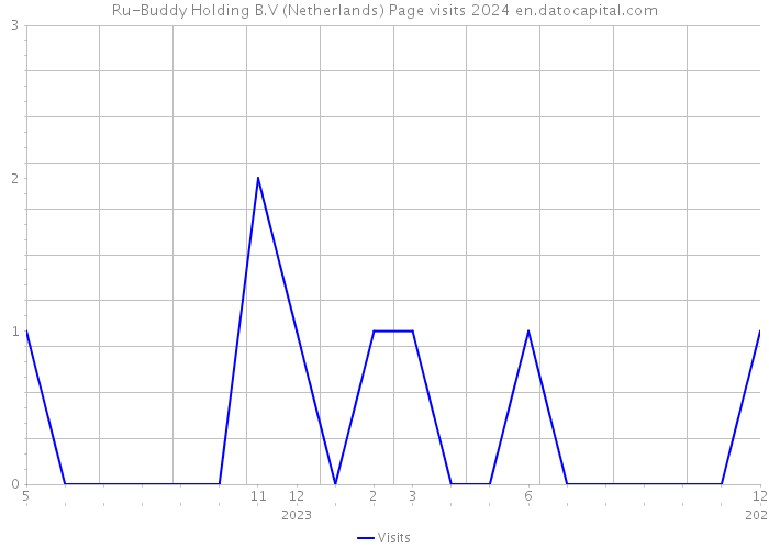 Ru-Buddy Holding B.V (Netherlands) Page visits 2024 