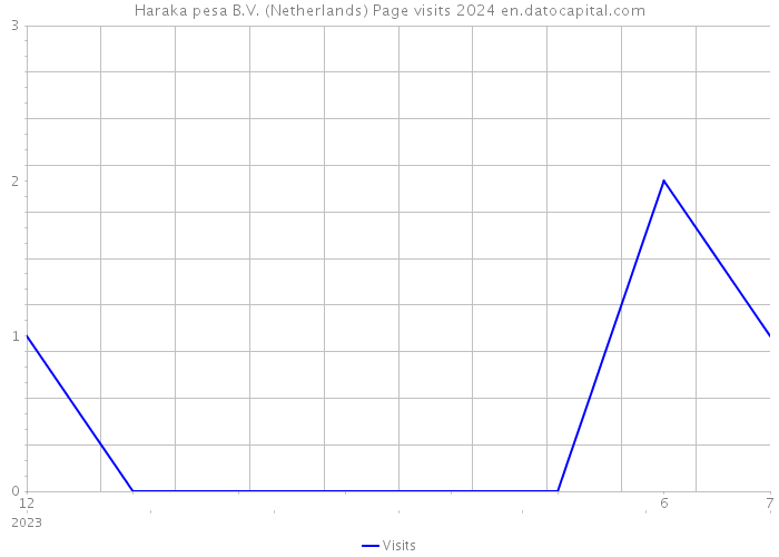 Haraka pesa B.V. (Netherlands) Page visits 2024 