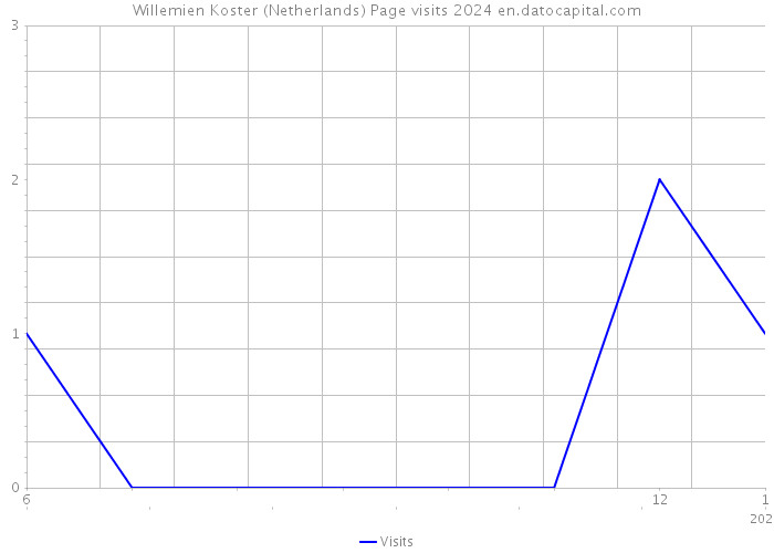 Willemien Koster (Netherlands) Page visits 2024 
