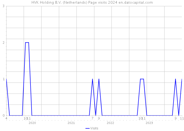 HVK Holding B.V. (Netherlands) Page visits 2024 