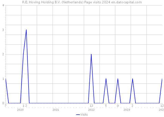 R.E. Hoving Holding B.V. (Netherlands) Page visits 2024 