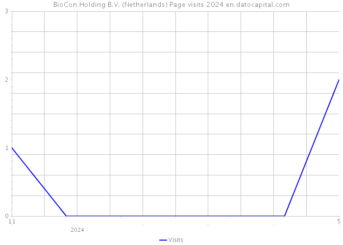 BioCon Holding B.V. (Netherlands) Page visits 2024 