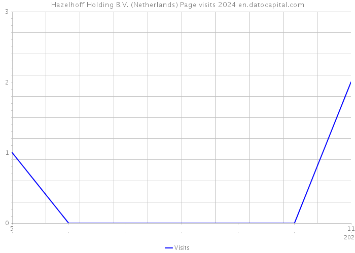 Hazelhoff Holding B.V. (Netherlands) Page visits 2024 