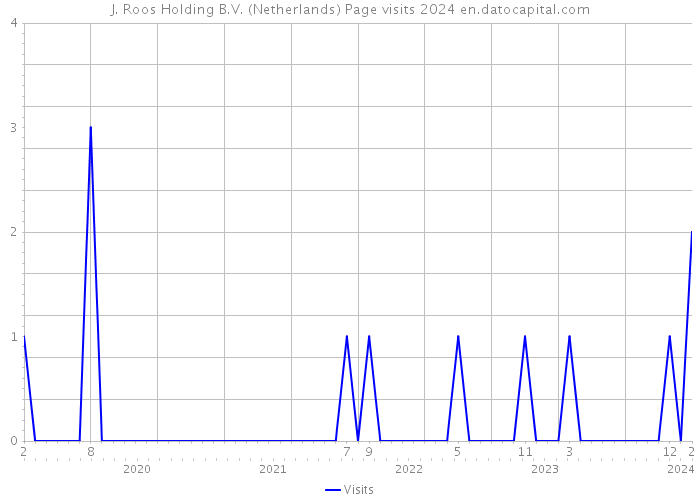 J. Roos Holding B.V. (Netherlands) Page visits 2024 