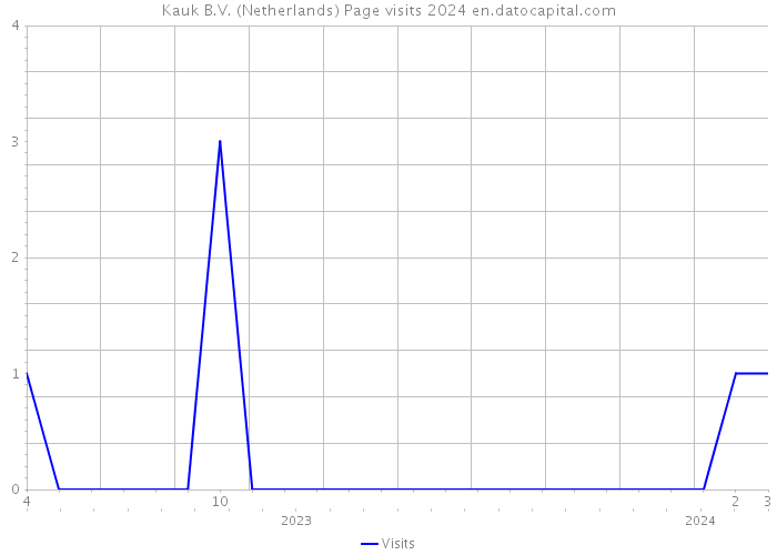 Kauk B.V. (Netherlands) Page visits 2024 