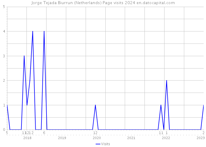 Jorge Tejada Biurrun (Netherlands) Page visits 2024 