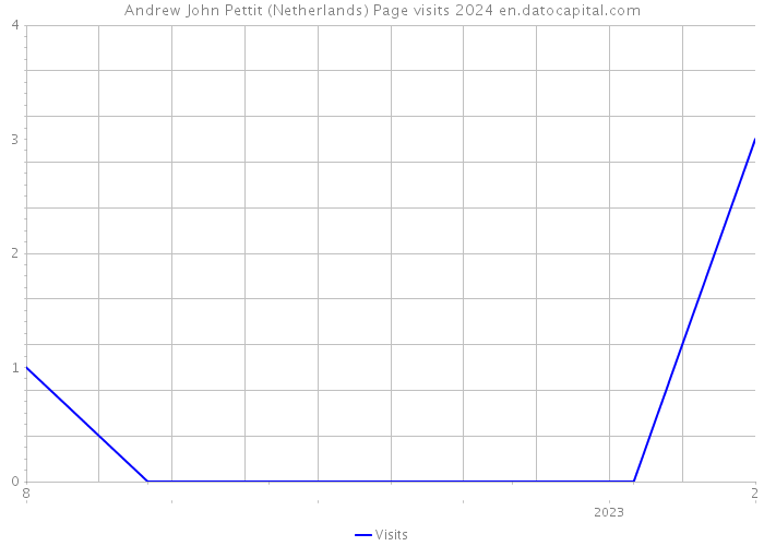 Andrew John Pettit (Netherlands) Page visits 2024 