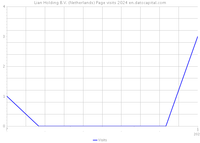 Lian Holding B.V. (Netherlands) Page visits 2024 