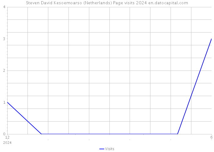 Steven David Kesoemoarso (Netherlands) Page visits 2024 