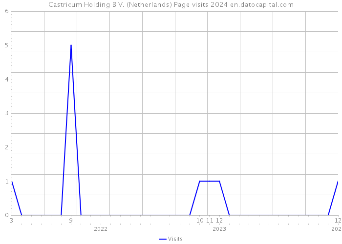 Castricum Holding B.V. (Netherlands) Page visits 2024 