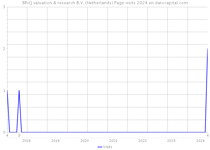 BRiQ valuation & research B.V. (Netherlands) Page visits 2024 
