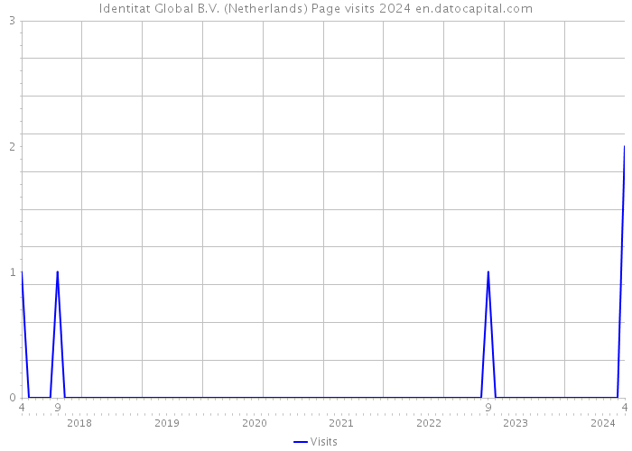 Identitat Global B.V. (Netherlands) Page visits 2024 