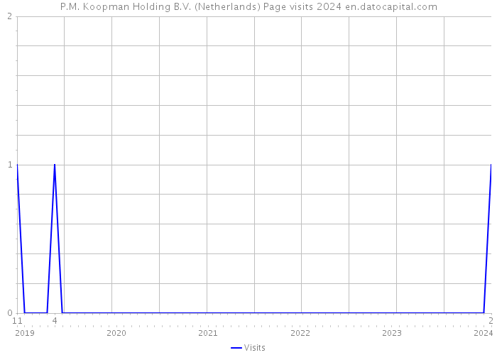 P.M. Koopman Holding B.V. (Netherlands) Page visits 2024 