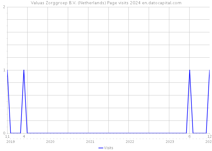 Valuas Zorggroep B.V. (Netherlands) Page visits 2024 