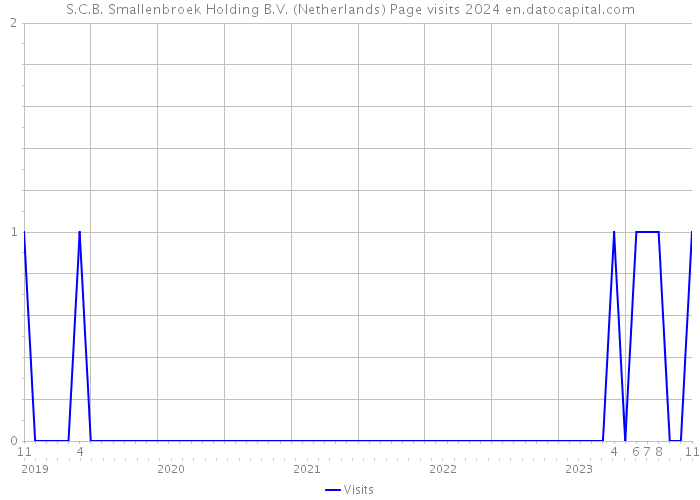 S.C.B. Smallenbroek Holding B.V. (Netherlands) Page visits 2024 