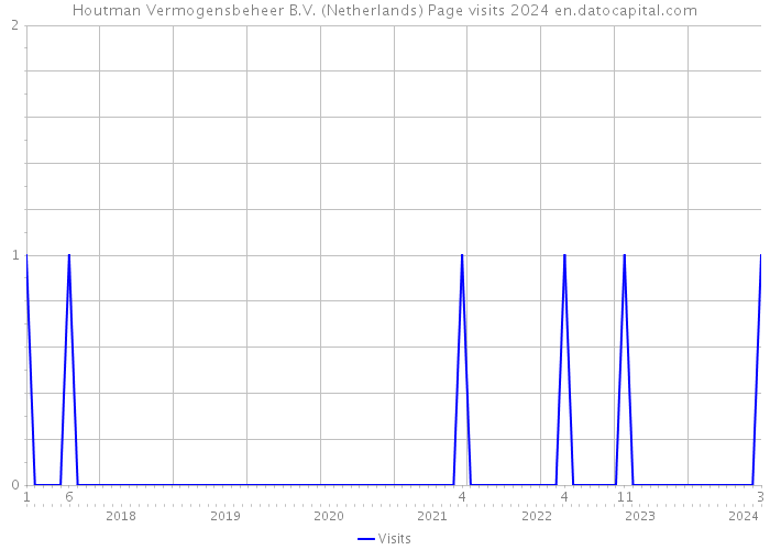 Houtman Vermogensbeheer B.V. (Netherlands) Page visits 2024 