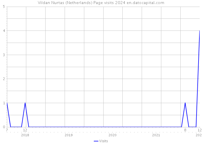 Vildan Nurtas (Netherlands) Page visits 2024 