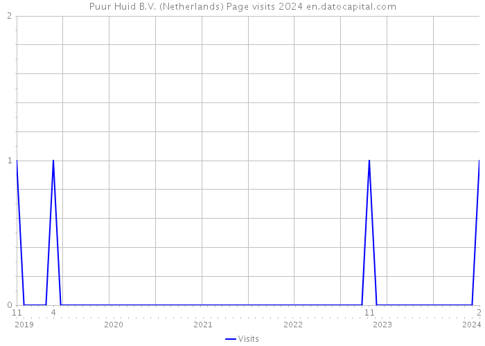 Puur Huid B.V. (Netherlands) Page visits 2024 