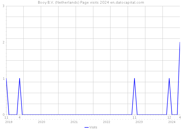 Booy B.V. (Netherlands) Page visits 2024 