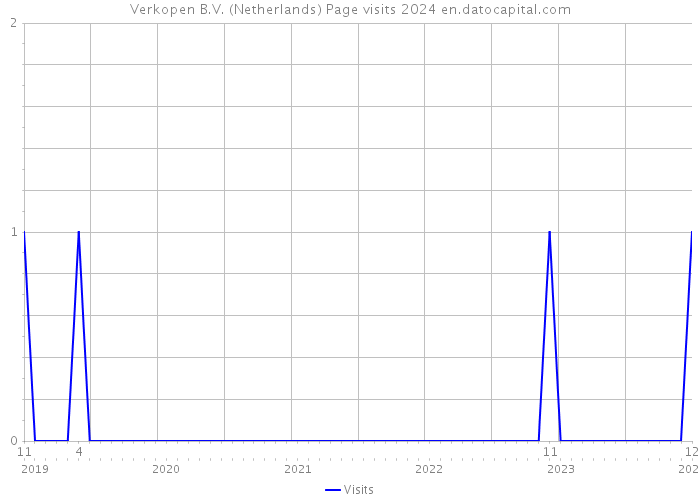 Verkopen B.V. (Netherlands) Page visits 2024 