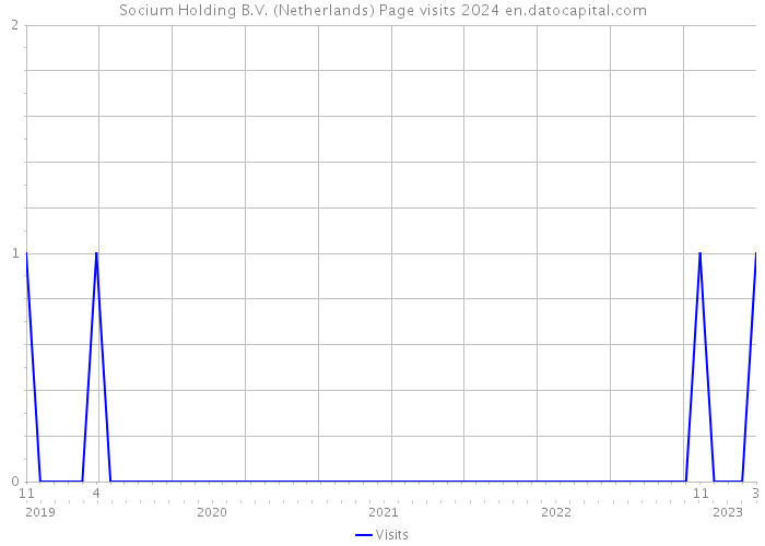 Socium Holding B.V. (Netherlands) Page visits 2024 