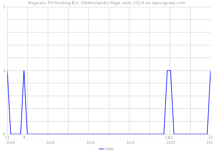Magnetic Fit Holding B.V. (Netherlands) Page visits 2024 