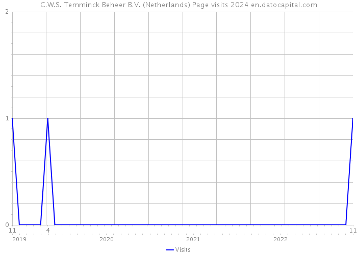 C.W.S. Temminck Beheer B.V. (Netherlands) Page visits 2024 