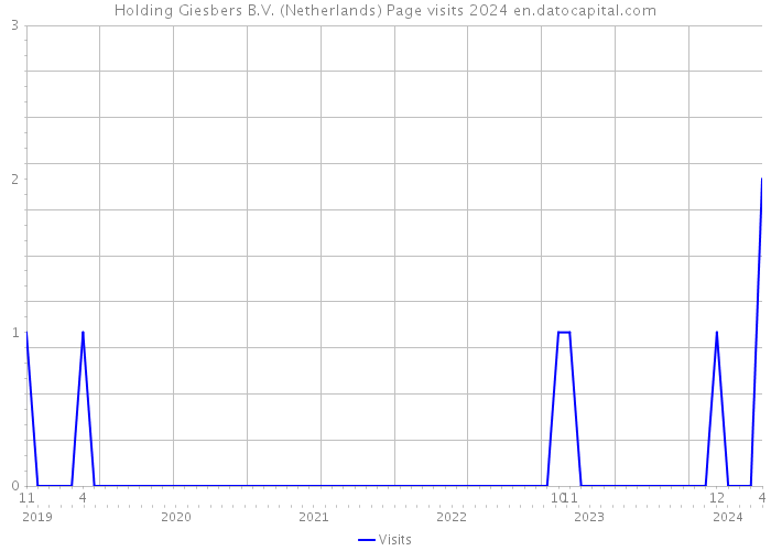 Holding Giesbers B.V. (Netherlands) Page visits 2024 