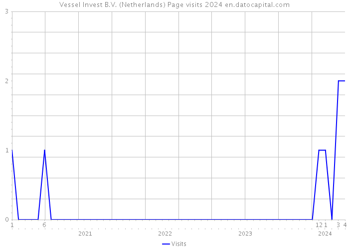 Vessel Invest B.V. (Netherlands) Page visits 2024 