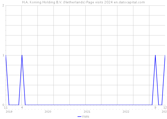 H.A. Koning Holding B.V. (Netherlands) Page visits 2024 