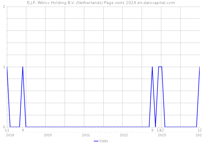 E.J.P. Witlox Holding B.V. (Netherlands) Page visits 2024 