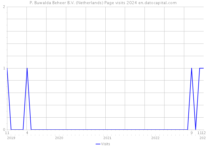 P. Buwalda Beheer B.V. (Netherlands) Page visits 2024 