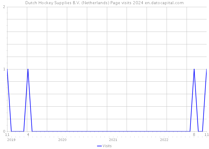 Dutch Hockey Supplies B.V. (Netherlands) Page visits 2024 