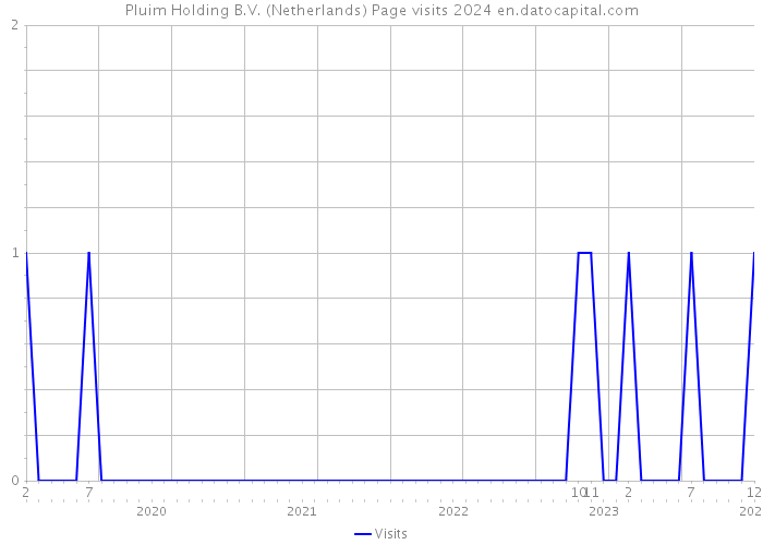 Pluim Holding B.V. (Netherlands) Page visits 2024 