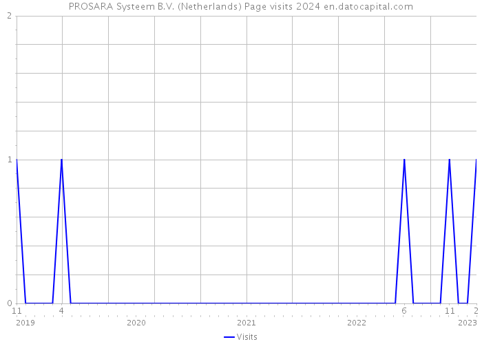 PROSARA Systeem B.V. (Netherlands) Page visits 2024 