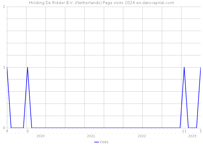 Holding De Ridder B.V. (Netherlands) Page visits 2024 