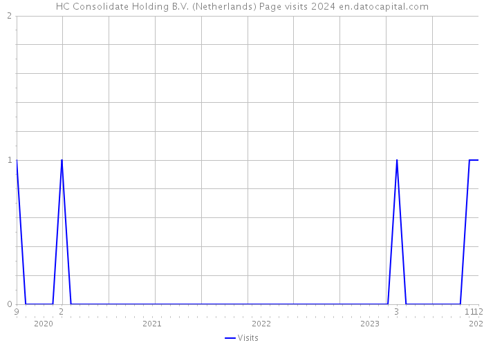 HC Consolidate Holding B.V. (Netherlands) Page visits 2024 