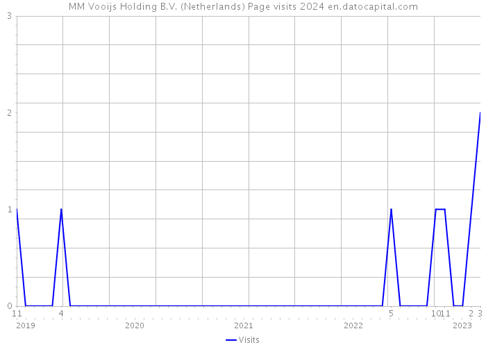 MM Vooijs Holding B.V. (Netherlands) Page visits 2024 