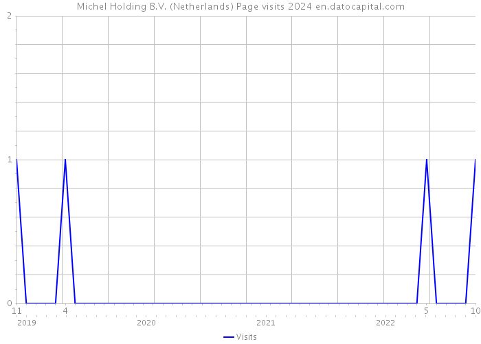 Michel Holding B.V. (Netherlands) Page visits 2024 