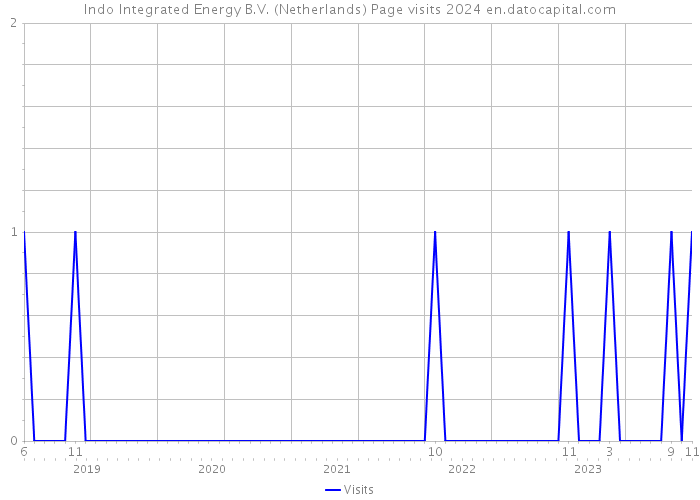 Indo Integrated Energy B.V. (Netherlands) Page visits 2024 