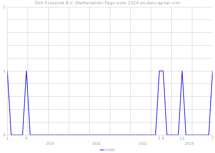 Dirk Foesenek B.V. (Netherlands) Page visits 2024 