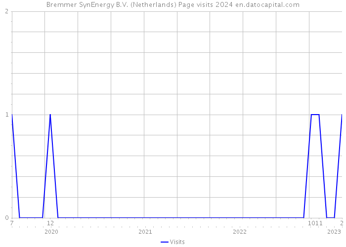 Bremmer SynEnergy B.V. (Netherlands) Page visits 2024 