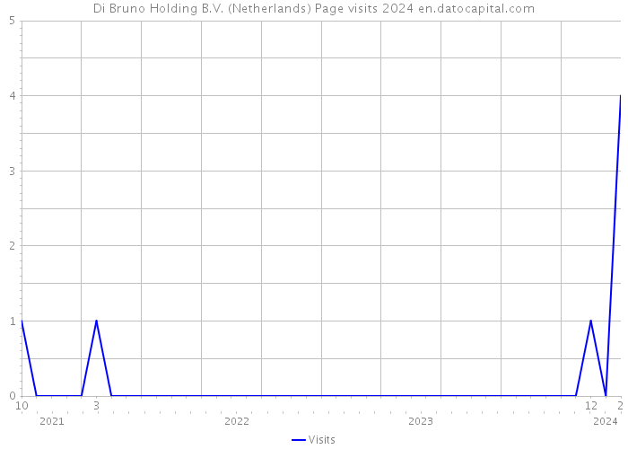 Di Bruno Holding B.V. (Netherlands) Page visits 2024 