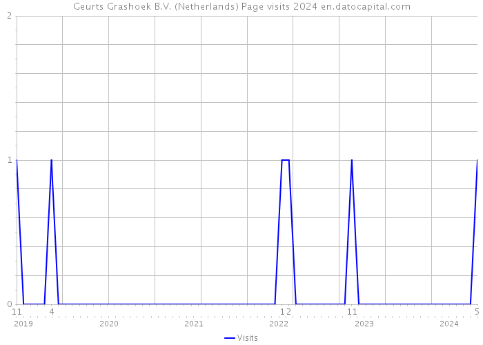 Geurts Grashoek B.V. (Netherlands) Page visits 2024 